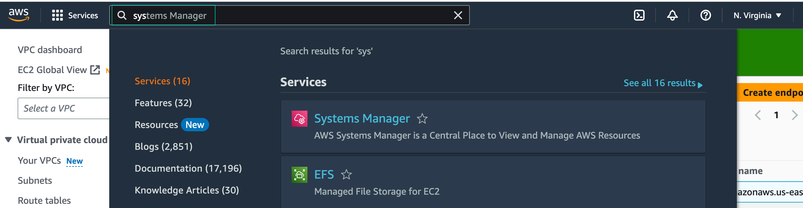 system manager